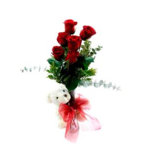 50 · Florero 6 Rosas Rojas + Peluche
